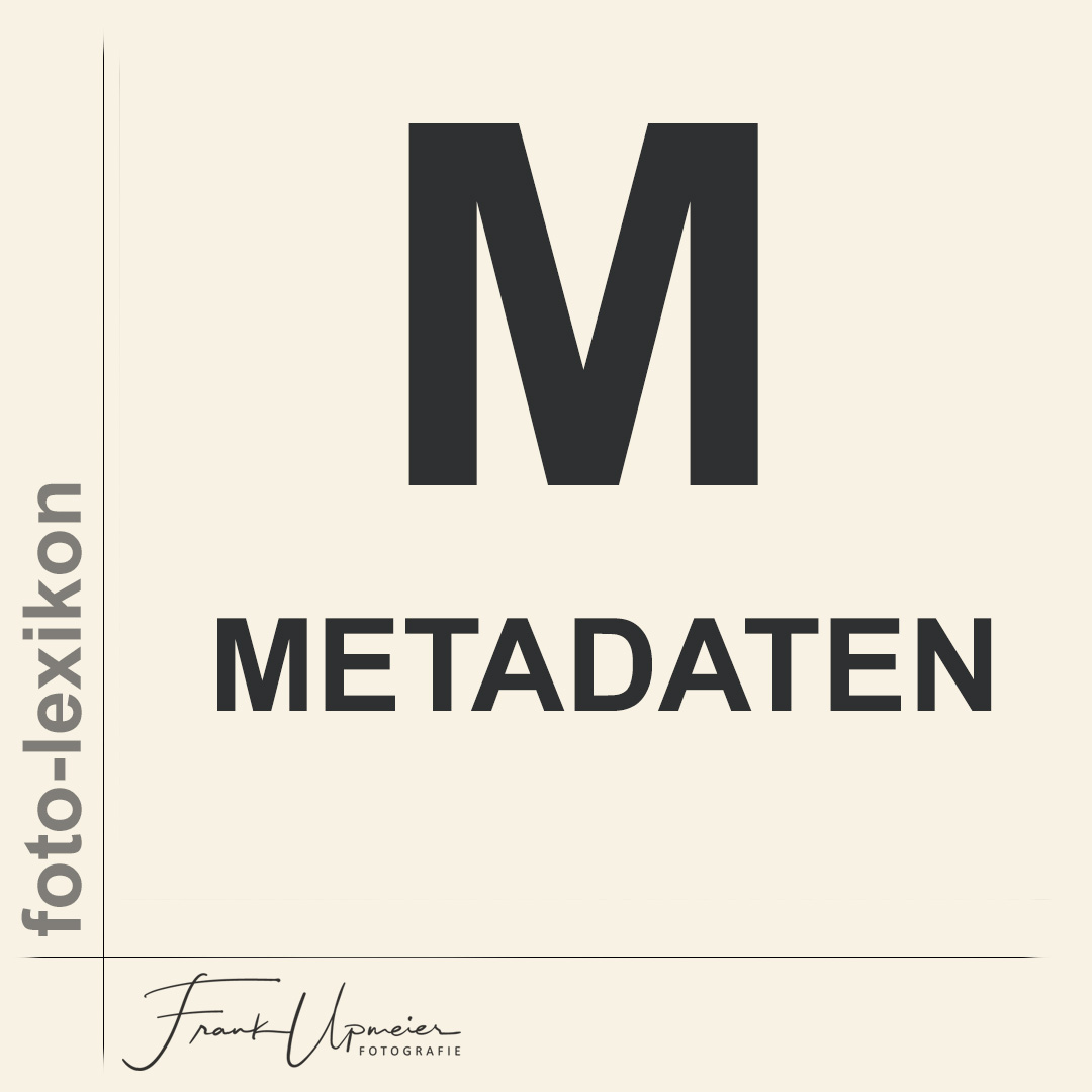 metadaten